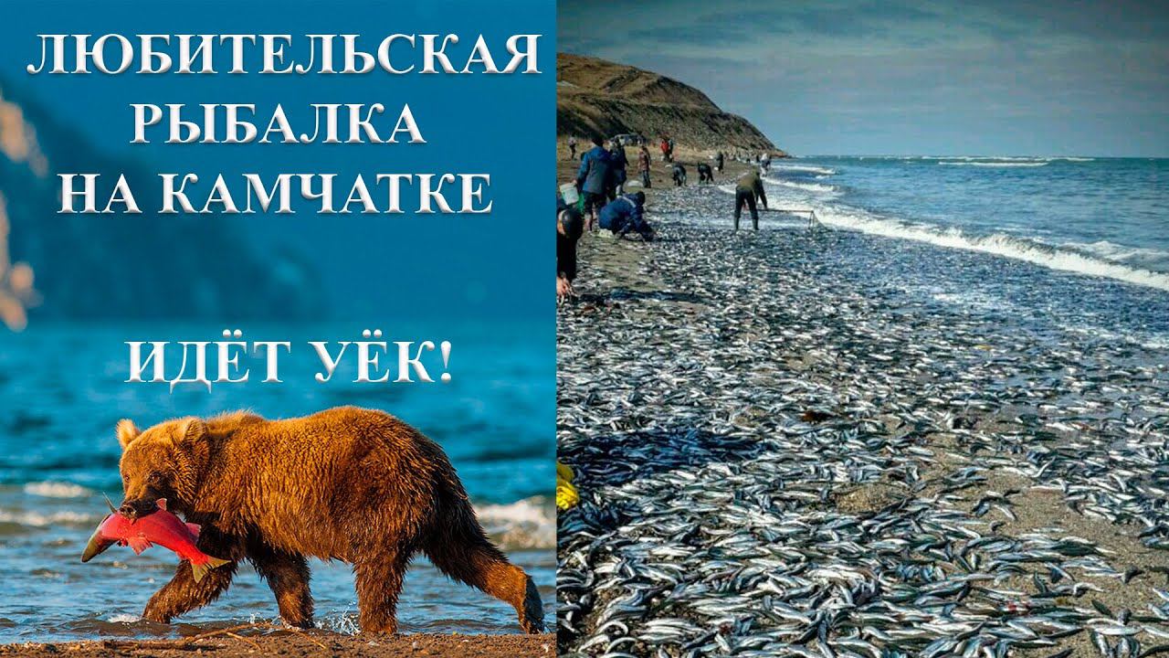 Рыбалка на Камчатке. Охотское море и уёк