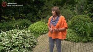 Парк на границе света и тени
