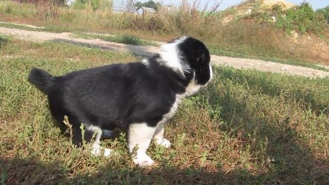 мальчик № 1