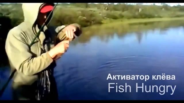 Рыбалка банда смотреть онлайн