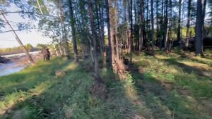 Выдра Алдан 600 шести метровая лодка + мотор Ямаха 40 (веос) под румпелем. Легко!!!!!!!!