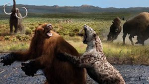 Smilodon Populator vs American Lion 2022