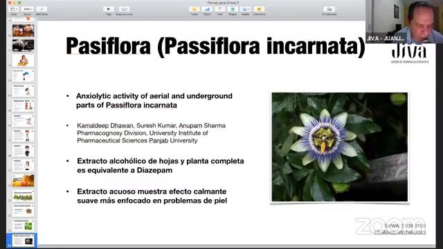 Plantas que nos protegen del estrés #MedicinaNatural #Fitoterapia
