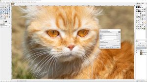 Gimp 2.10 #1 Осветление/Затемнение отдельных участков фотографии