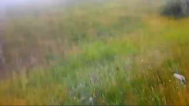 ЕСТЬ ОДНА ТЯН. ИДУ ПЕШКОМ 5 КМ С РАБОТЫ. смотреть онлайн