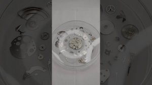 Full Restoration Seiko 5 7009