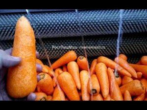 Машина чистки моркови от кожуры GB от РостПищМаш
