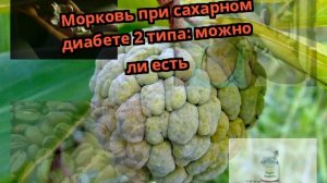 Морковь при сахарном диабете 2 типа: можно ли есть