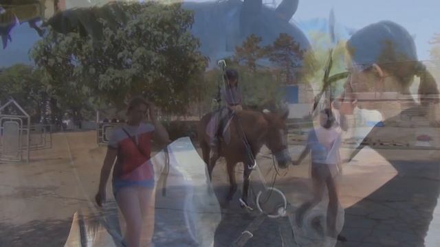 Конный спорт в Молдове. Мастер класс. Кишинев смотреть онлайн