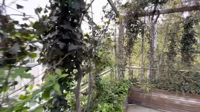 В ночь с 10 на 11 лунные сутки увидьте того кто вас любит во сне. Тайный Поклонник смотреть онлайн