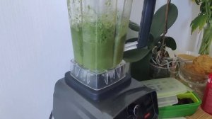 Блендер Biolomix T5200/G5200 спустя 7 месяцев использования