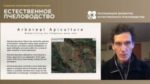 Проект Apis Arborea. Выступление Михаэля Тиле (США) на Конференции «Естественное пчеловодство-2020».