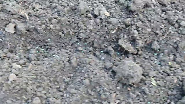 МИР! ТРУД! МАЙ! ЗАВТРАК! МЫ НА ДАЧЕ!!! ШАШЛЫК! С ПРАЗДНИКОМ!!! смотреть онлайн