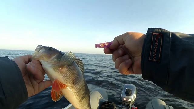 Открытие лодочного сезона на Рыбинском водохранилище 2020. Щука и окунь на джиг. Спиннинг с лодки. смотреть онлайн