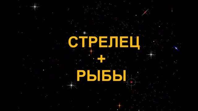 СТРЕЛЕЦ+РЫБЫ - Совместимость - Астротиполог Дмитрий Шимко