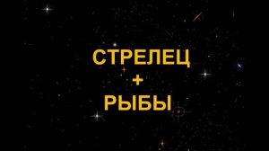 СТРЕЛЕЦ+РЫБЫ - Совместимость - Астротиполог Дмитрий Шимко