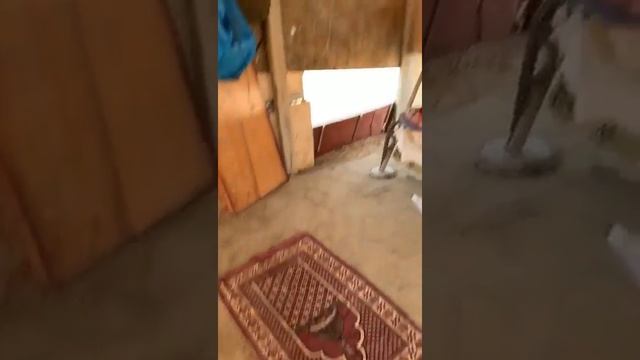как живет пастух в саудовской аравии