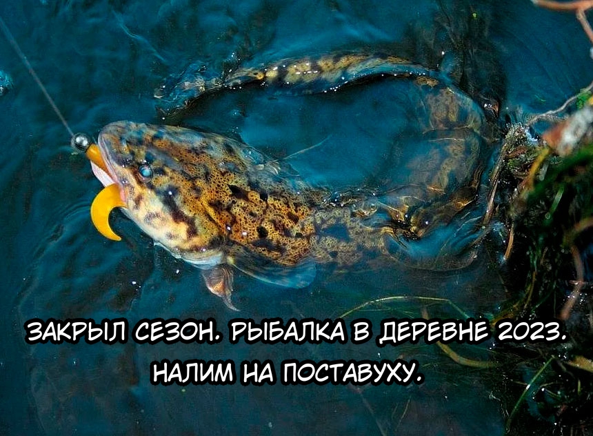 Закрыл сезон. Рыбалка в деревне 2023. НАЛИМ на поставуху. смотреть онлайн
