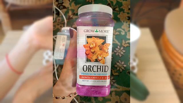 Орхидея ЧЕРНАЯ ПТИЧКА. Новые удобрения для орхидей. Эксперимент на канале. смотреть онлайн