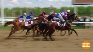 Скакуны вы мои, скакуны! Доброе утро. Фрагмент выпуска от 06.05.2019