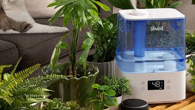 Best Humidifiers 2023 [don’t buy one before watching this] смотреть онлайн
