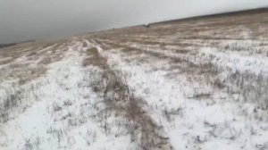 Первый запуск снегохода с двигателем от ваз2108