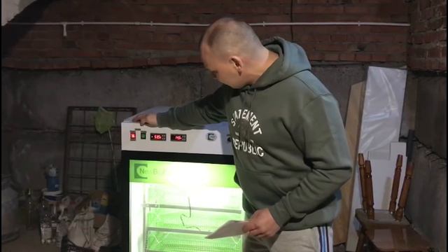 Новый фермерский инкубатор NBF смотреть онлайн