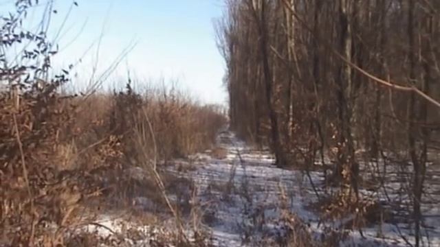 Поиск клада. Старый Новый год смотреть онлайн