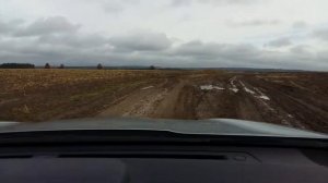 Грибы Красный стекловар(дорога Н.Карамасы-Бикнарат) 17.10.17 №4