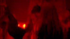 Звонкий   Голоса