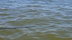 РЫБАЛКА МЕЧТЫ,ЛОВИМ ВЕДРАМИ, ПЯТЬ РЫБ С ЗАБРОСА.