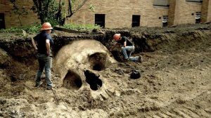 Новые Доказательства Существования Гигантов — Они Реальны