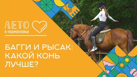 Автошкола багги и уроки верховой езды: изучаем Звенигород