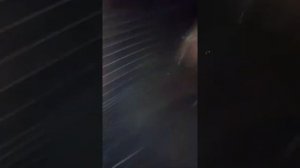 Ночная рыбалка на черноспинку