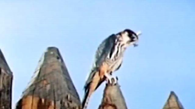 К Человечности смотреть онлайн