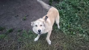 Я вообще-то люблю макароны