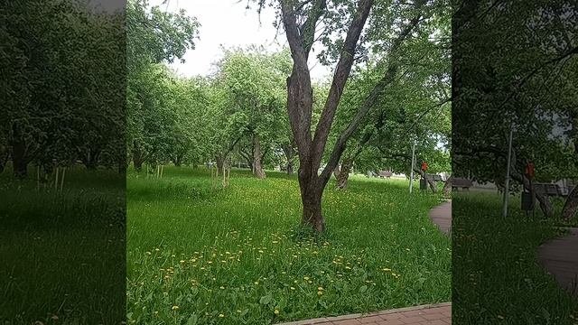 Почему зло так привлекательно?