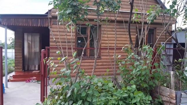 Обрезка сирени 2 в 1. Как обрезать сирень и "Убить двух зайцев". Как сделала я