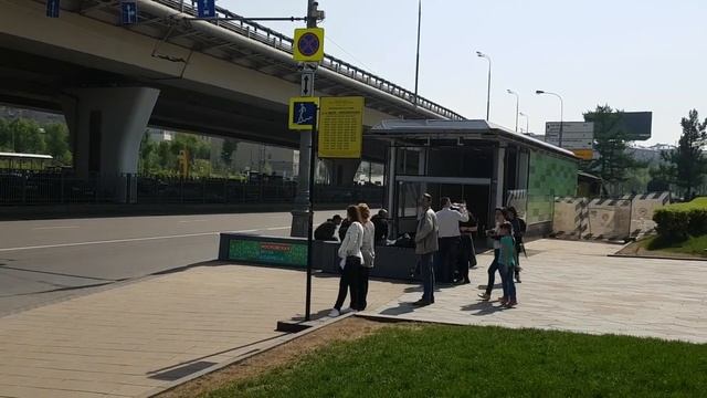 Москвариум: бесплатный автобус-маршрутка смотреть онлайн