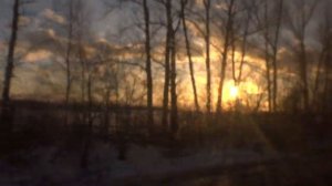 Коломна, автобус 24, участок Запруды - Лесничество