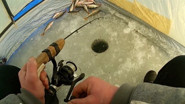 Зимняя рыбалка 2022 . Чудское озеро . Peipsi järv . смотреть онлайн