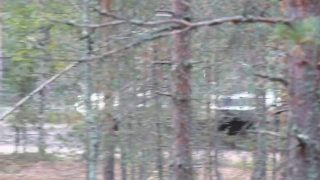 Кирилловское 2009 БМП смотреть онлайн