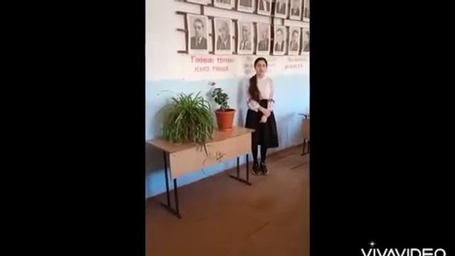 Язык - это душа народа. Флешмоб посвященный дню родного языка. МКОУ Зизикская СОШ смотреть онлайн
