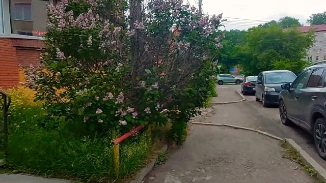 🚩Улица Сиреневая смотреть онлайн