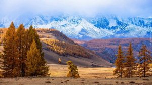 русские народные песни