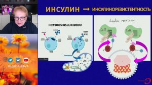 Бесплодие в парах с инсулинорезистентностью l Пустотина О. А.