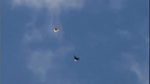 Очи темно-синие.