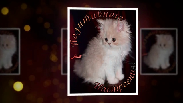 ОТЛИЧНЫХ ВЫХОДНЫХ, ПРЕКРАСНОГО НАСТРОЕНИЯ! смотреть онлайн