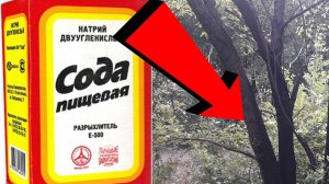 Как избавиться от дерева За 3 Секунды!...