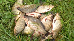 Лучшие самодельные насадки Часть 13.